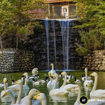Iran's Zoos